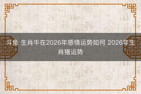斗鱼 生肖牛在2026年感情运势如何 2026年生肖猪运势