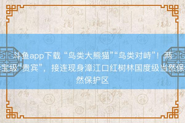 斗鱼app下载 “鸟类大熊猫”“鸟类对峙”！两大国宝级“贵宾”，接连现身漳江口红树林国度级当然保护区