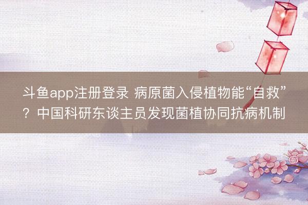 斗鱼app注册登录 病原菌入侵植物能“自救”?中国科研东谈主员发现菌植协同抗病机制