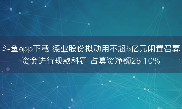 斗鱼app下载 德业股份拟动用不超5亿元闲置召募资金进行现款科罚 占募资净额25.10%