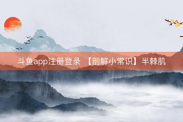 斗鱼app注册登录 【剖解小常识】半棘肌