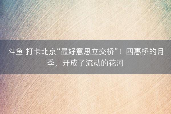 斗鱼 打卡北京“最好意思立交桥”！四惠桥的月季，开成了流动的花河