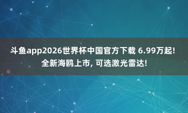 斗鱼app2026世界杯中国官方下载 6.99万起! 全新海鸥上市， 可选激光雷达!
