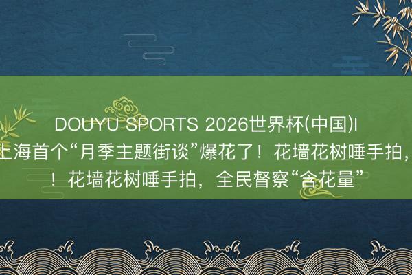 DOUYU SPORTS 2026世界杯(中国)IOS/安卓官方下载 上海首个“月季主题街谈”爆花了！花墙花树唾手拍，全民督察“含花量”