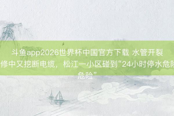 斗鱼app2026世界杯中国官方下载 水管开裂抢修中又挖断电缆，松江一小区碰到“24小时停水危险”