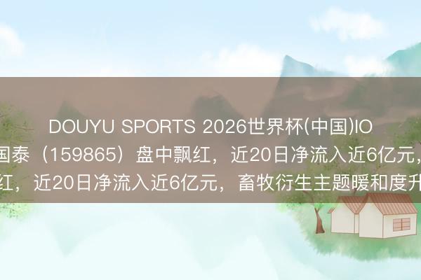 DOUYU SPORTS 2026世界杯(中国)IOS/安卓官方下载 衍生ETF国泰（159865）盘中飘红，近20日净流入近6亿元，畜牧衍生主题暖和度升温