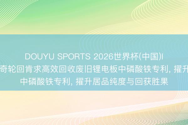 DOUYU SPORTS 2026世界杯(中国)IOS/安卓官方下载 天奇轮回肯求高效回收废旧锂电板中磷酸铁专利， 擢升居品纯度与回获胜果