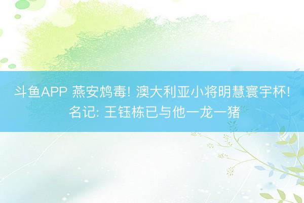 斗鱼APP 燕安鸩毒! 澳大利亚小将明慧寰宇杯! 名记: 王钰栋已与他一龙一猪