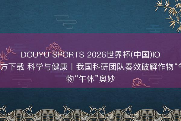 DOUYU SPORTS 2026世界杯(中国)IOS/安卓官方下载 科学与健康丨我国科研团队奏效破解作物“午休”奥妙